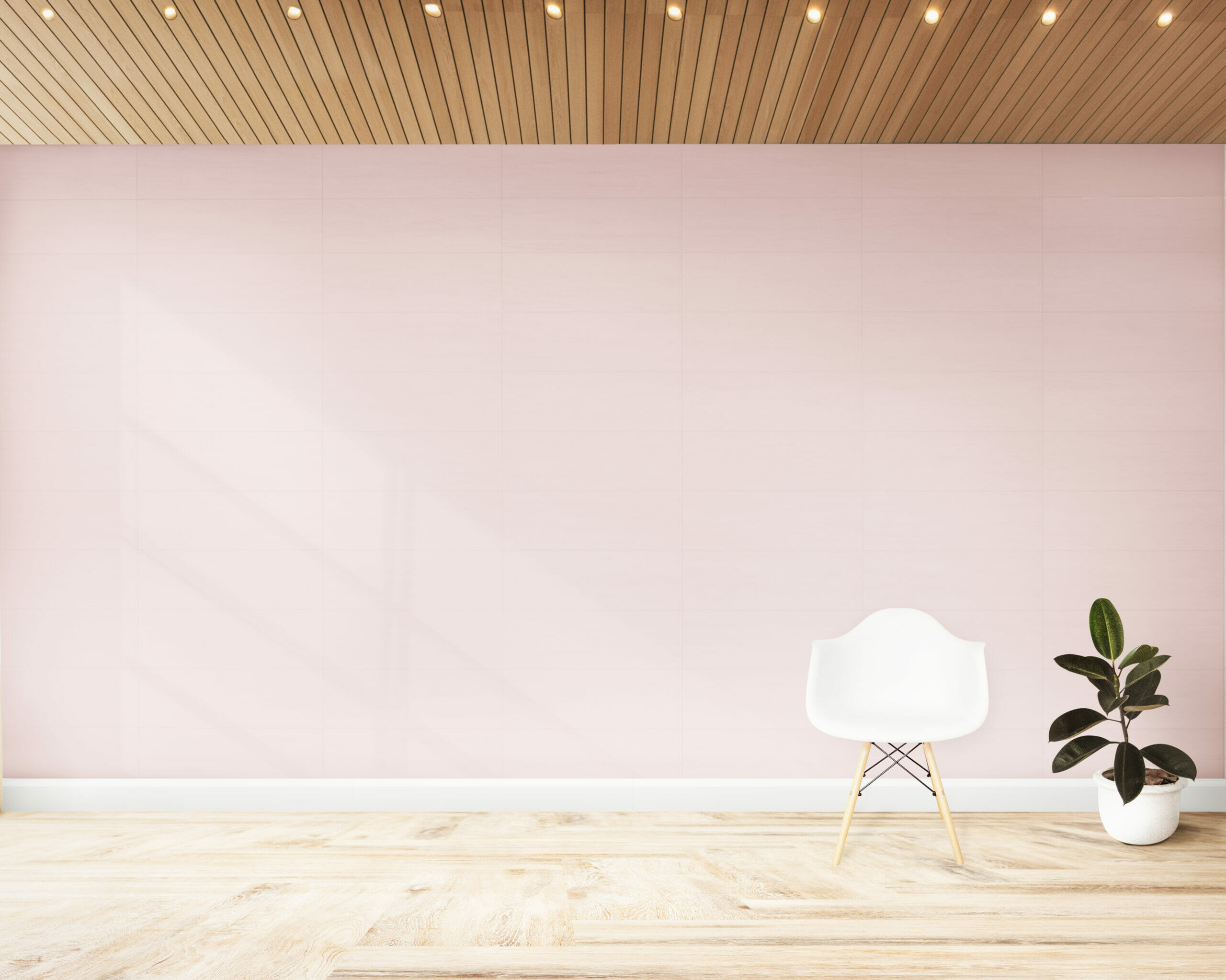 Living room with a pink wall