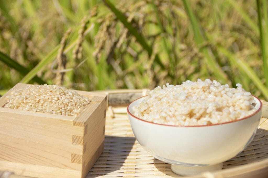 近現代に入って注目される玄米による食事健康法とは